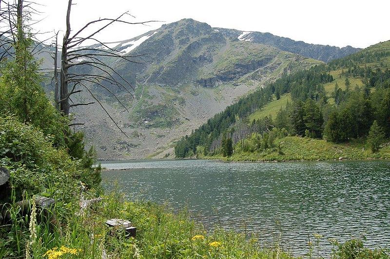 Файл:Altay.jpg